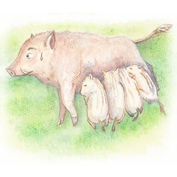 いのししのお乳