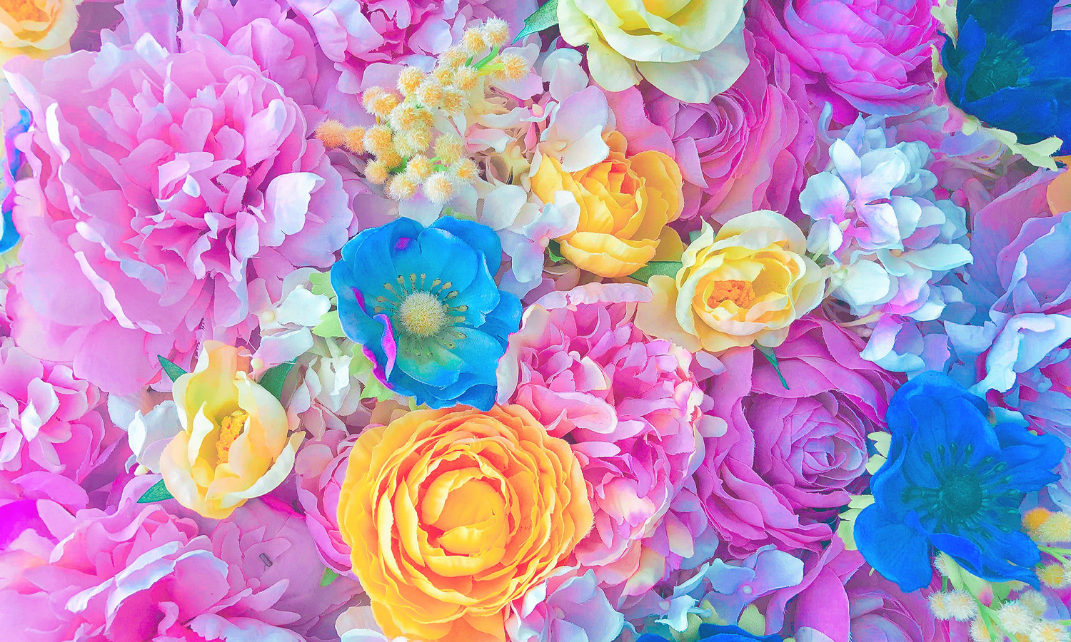 写真の説明を入れます